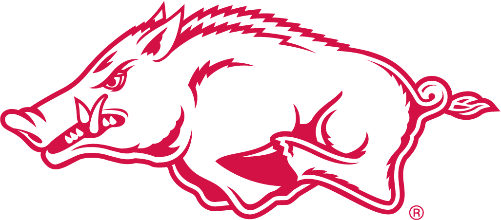 Arkansas Razorbacks 2001-Pres Alternate Logo v2 diy DTF decal sticker